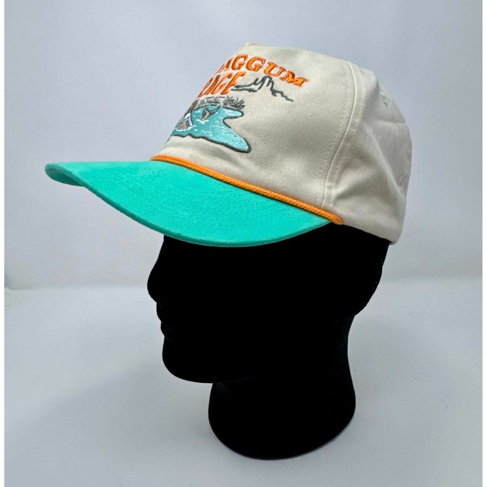 Sendero Provisions Co Thats A Daggum Mirage Snapback Hat Desert Pool Cap OSFA View 3